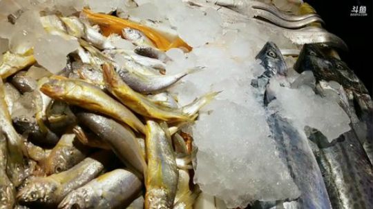 龙马精神丶老狼哥发布了一个斗鱼视频2019-08-30