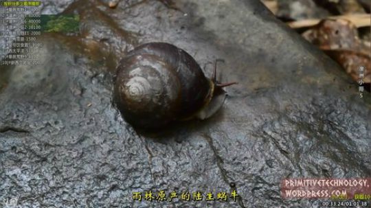 护法惊丶发布了一个斗鱼视频2019-08-30