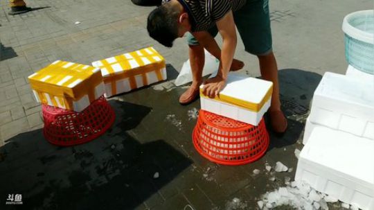 西北老狼哥哥发布了一个斗鱼视频2019-08-30