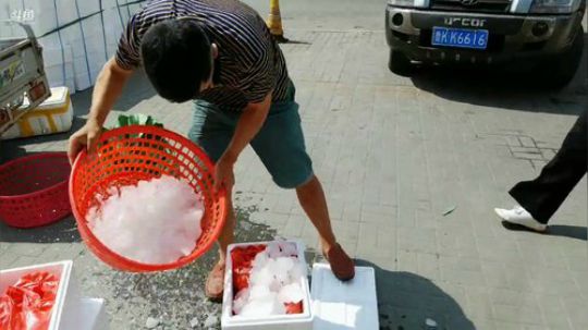 西北老狼哥哥发布了一个斗鱼视频2019-08-30