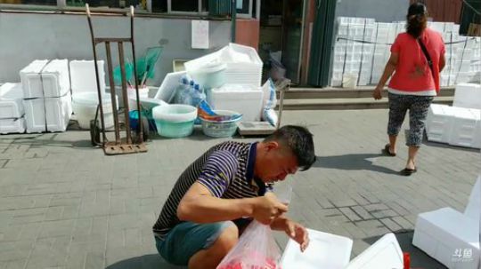 西北老狼哥哥发布了一个斗鱼视频2019-08-30