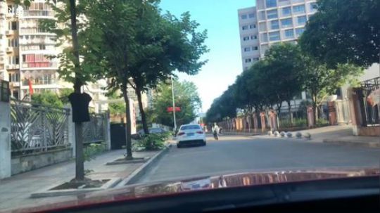 连江的流浪者。 2019-08-26 17点场