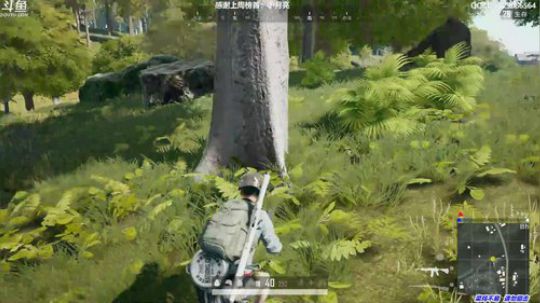 馒头:单排战神 2019-08-23 16点场