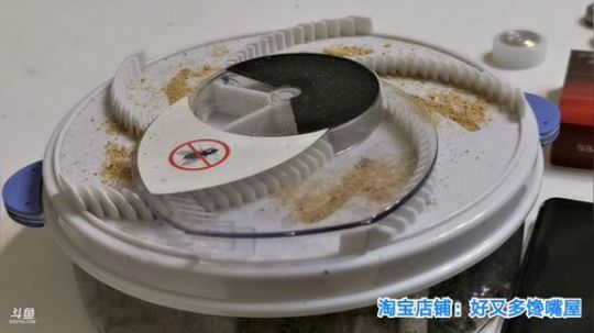我在斗鱼看无尽无尽的无尽直播美食
