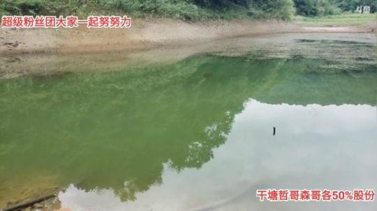 登月团丶离去发布了一个斗鱼视频2019-09-01