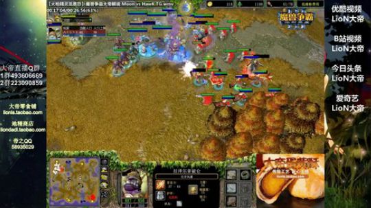 我在斗鱼看大帝LioN直播魔兽争霸