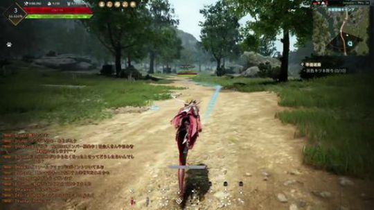 PS4 黑色沙漠初见