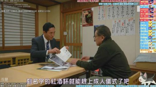 我在斗鱼看懒猫是只喵直播一起看