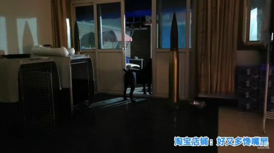 铁血丶苟且君发布了一个斗鱼视频2019-09-02