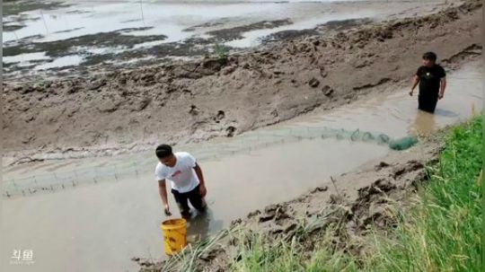 村口集合怼虾塘（干底） 2019-09-02 12点场
