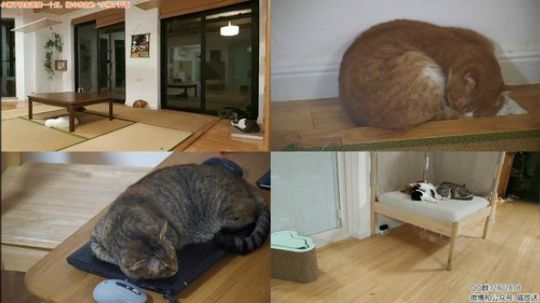 日常梦周公