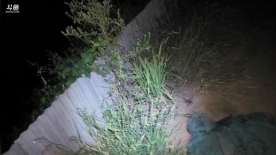 村口集合怼虾塘 2019-09-01 20点场