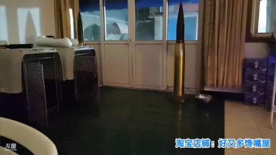 我在斗鱼看无尽无尽的无尽直播美食