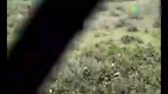 郊区王者平头哥---就是这么蛮横 说了留平头的不要惹！2