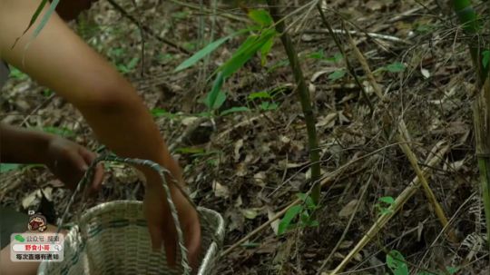 我在斗鱼看野食小哥直播美食