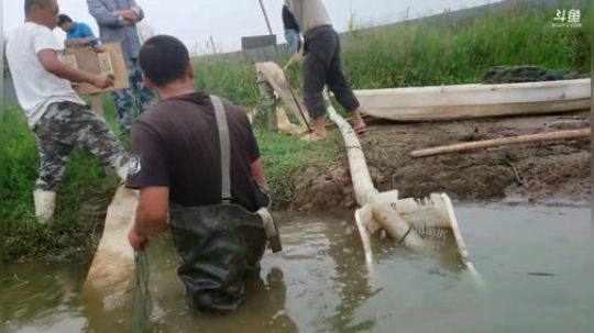村口集合怼虾塘 2019-09-01 10点场
