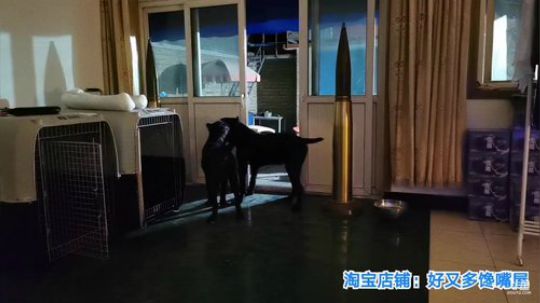 铁血丶苟且君发布了一个斗鱼视频2019-09-02