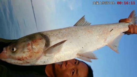 村口集合怼虾塘（干底） 2019-09-02 16点场