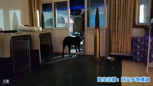 铁血丶苟且君发布了一个斗鱼视频2019-09-02