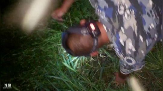 最强视角王者钓麻鳝 2019-08-31 22点场