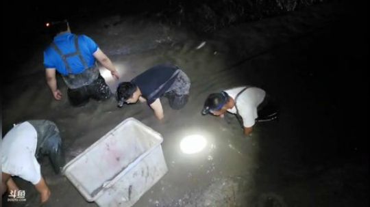 村口集合怼虾塘 2019-09-01 18点场