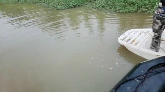 换条河继续整大鱼 2019-08-31 16点场