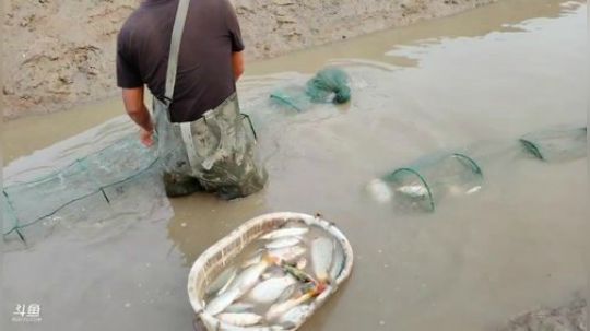 村口集合怼虾塘（干底） 2019-09-02 17点场