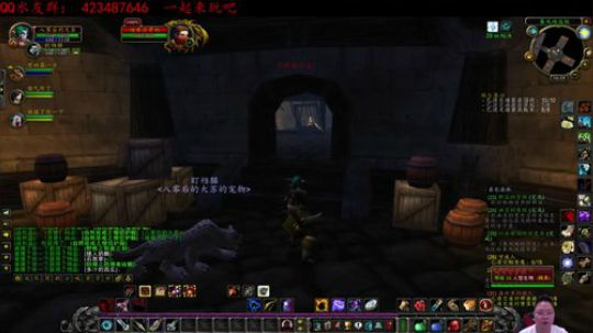 魔兽怀旧服-全服最溜猎人升级中，来聊聊吧 2019-09-02 15点场