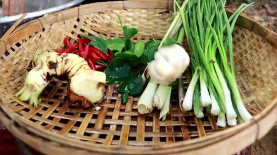 柬埔寨小嫂子 蚱蜢烹饪