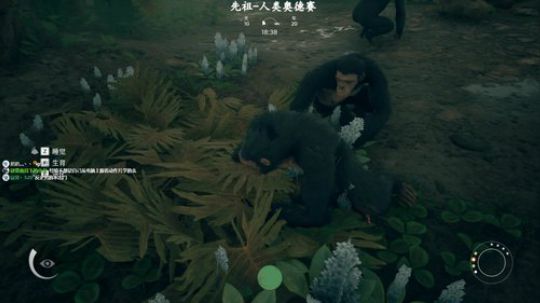 【骚宇】史前丛林最靓的仔 2019-09-03 09点场