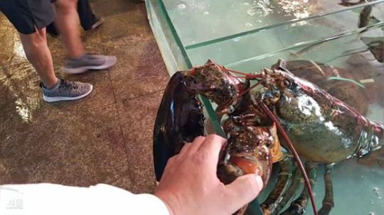 新的一周又开始了，加油！ 2019-09-03 14点场