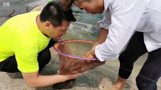 枣阳东郊水库开干第一天 2019-09-02 12点场