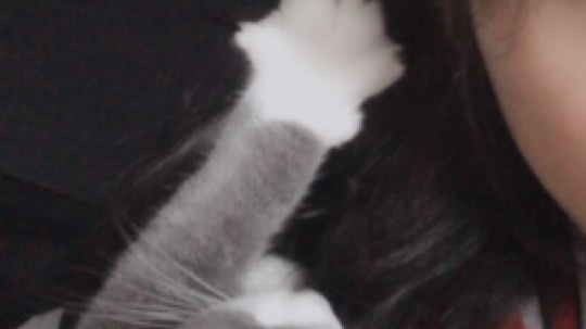 马杀鸡？？？？？[坏笑][坏笑][坏笑]