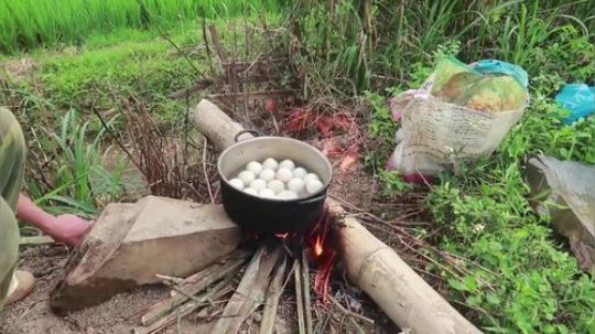 - 越南生猛系列 - 这是西北节奏的吃食——竹虫
