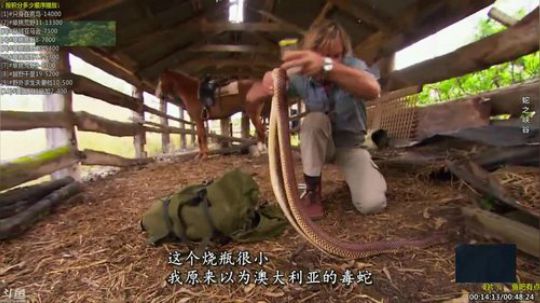 护法惊丶发布了一个斗鱼视频2019-09-04