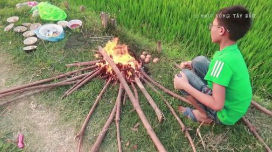 - 越南生猛系列 - 这是西北节奏的吃食——烤毛蛋