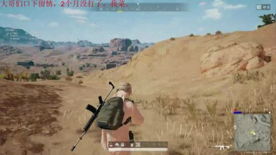 鸽子它回来了！晚一点csgo。 2019-09-01 13点场
