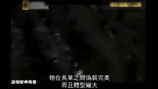 郊区王者平头哥---就是这么蛮横 说了留平头的不要惹！6