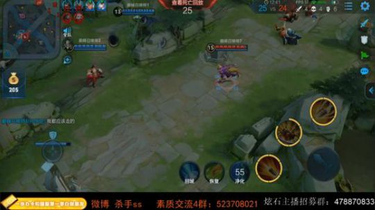 我在斗鱼看不可一世杀手直播王者荣耀