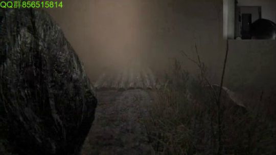 恐怖超吓人系列~ 2019-09-02 22点场