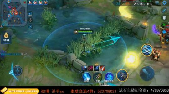 我在斗鱼看不可一世杀手直播王者荣耀