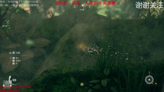 这到底是个什么游戏 4373319 2019-09-04 20点场