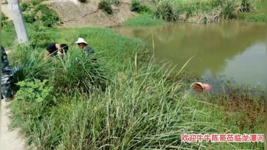 哆啦爱梦梦发布了一个斗鱼视频2019-09-05