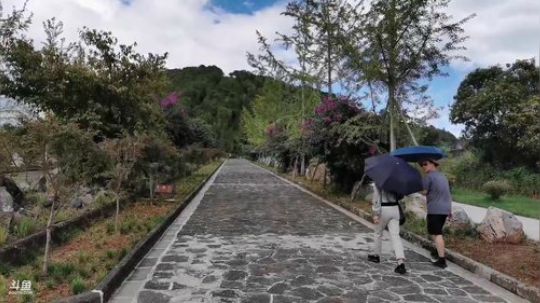 HHHISHHH发布了一个斗鱼视频2019-09-05