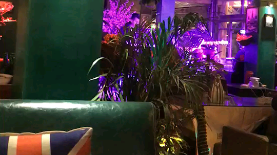 小小丹70211发布了一个斗鱼视频2019-09-06