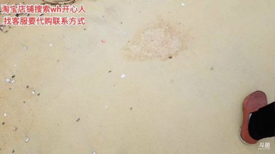 龙马精神丶老狼哥发布了一个斗鱼视频2019-09-06