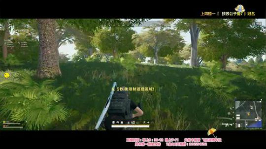 ❀风筝有风 海豚有海 而你们有我。 2019-09-08 08点场