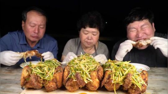 中文字幕】韩国兴森一家人，葱花鸡