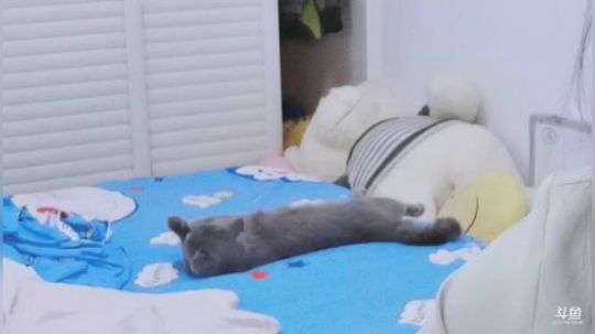 我在斗鱼看百变姑姑肖淑洁直播户外