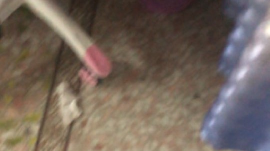 普通话很包准的龟发布了一个斗鱼视频2019-09-08